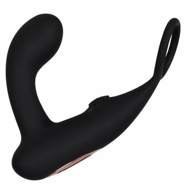 10 Function Rechargeable Prostate Massager And Cock Ring Anal Toys