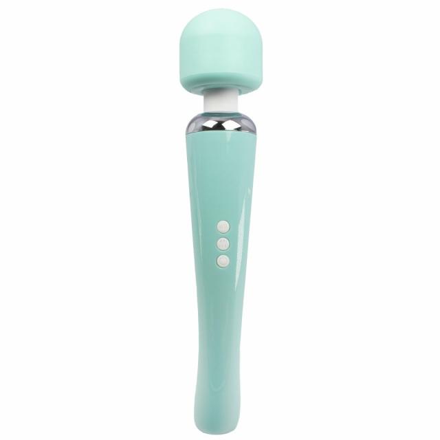 Atomic Power Mint 10 Function Massage Wand Vibrator Sex Toys