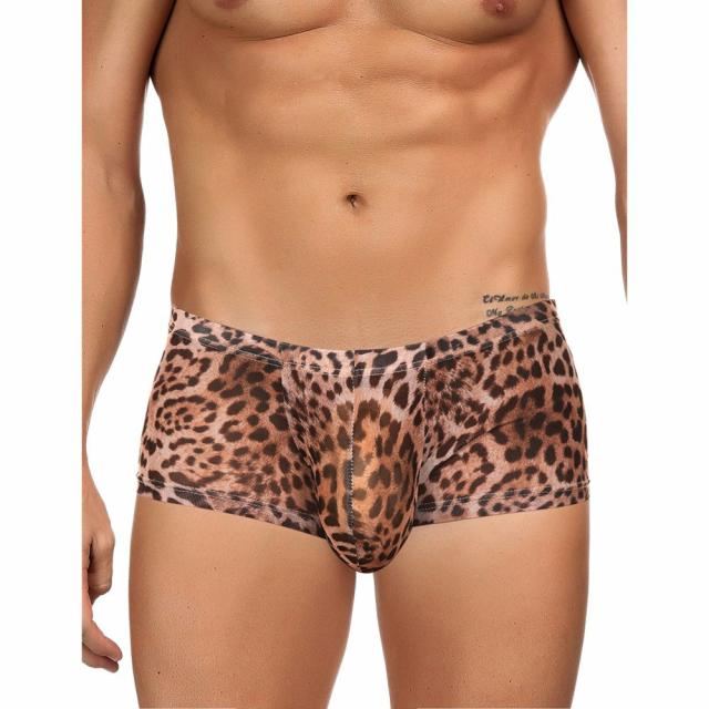 Man Leopard Print Mesh Boxer Briefs Lingerie & Underwear