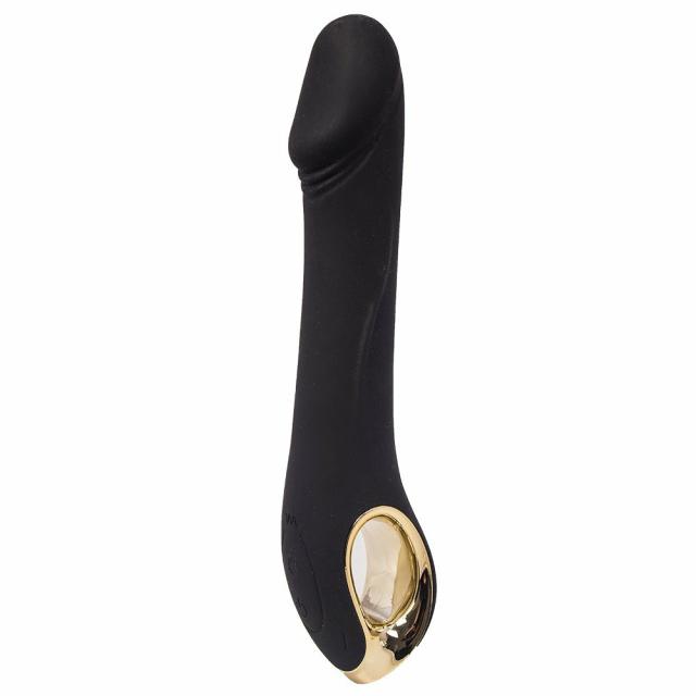 Money Shot 10 Function Luxury Rechargeable Vibrator Anal Toys