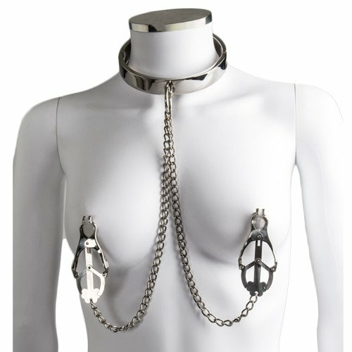 Stainless Steel Collar With Clover Nipple Clamps Bondage & Fetish