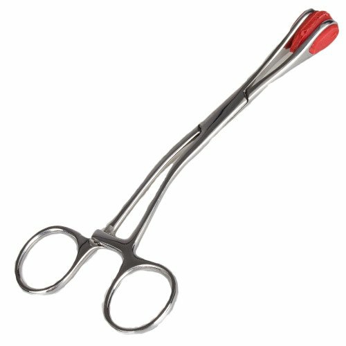 Stainless Steel Young Forceps Bondage & Fetish